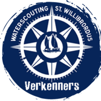 Logo vk website